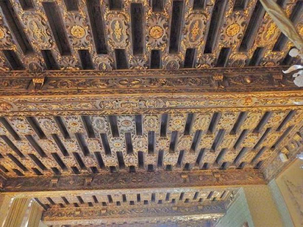 149 CHATEAU DE BRISSAC MAINE ET LOIRE 2016 N0_000026.jpg
